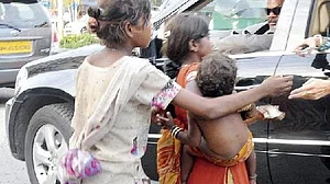 कुलदीप कुमार की कविताएं: भेड़ियों की भीड़ चौराहों पर जमा है, और बकरियां उन्हें हार पहना रही हैं