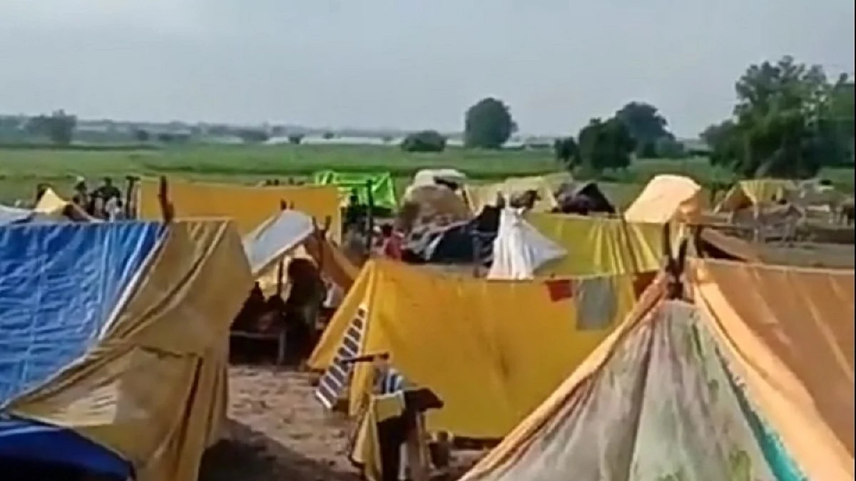 फोटो: सोशल मीडिया