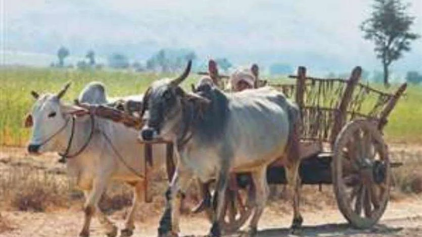 फोटोः सोशल मीडिया