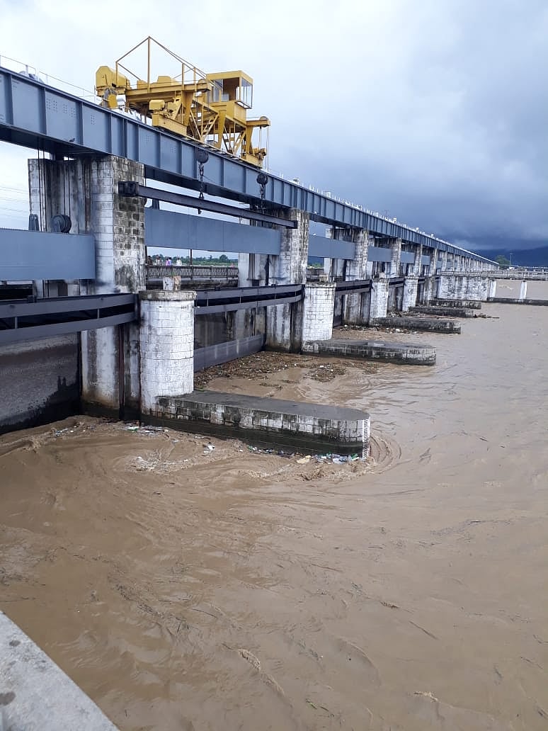 सौरव कुमार