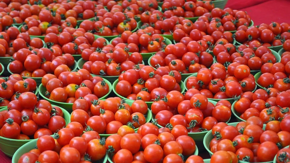 फोटो:&nbsp; सोशल मीडिया