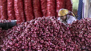 चार हजार साल पुराना है ‘प्याज’ से इंसानों का ‘प्यार’, इतिहास के इन तथ्यों को जानकर दंग रह जाएंगे आप!