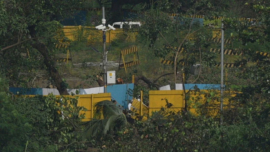 फोटो : Getty Images