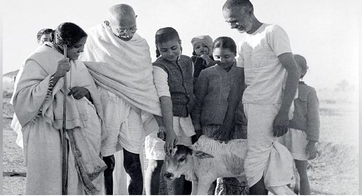 गांधी की विरासत में गोहत्या बंद करने के लिए मानव हत्या की आवश्यकता नहीं