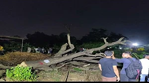 मुबंई का आरे कुछ नहीं, अभी तो वहां कटने वाले हैं लाखों पेड़, बीजेपी सरकार कस चुकी है कमर