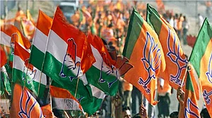 सत्ता के नशे में चूर बीजेपी विधायक के बिगड़े बोल- अपने ही मुस्लिम बाहुल्य क्षेत्र को बताया पाकिस्तान