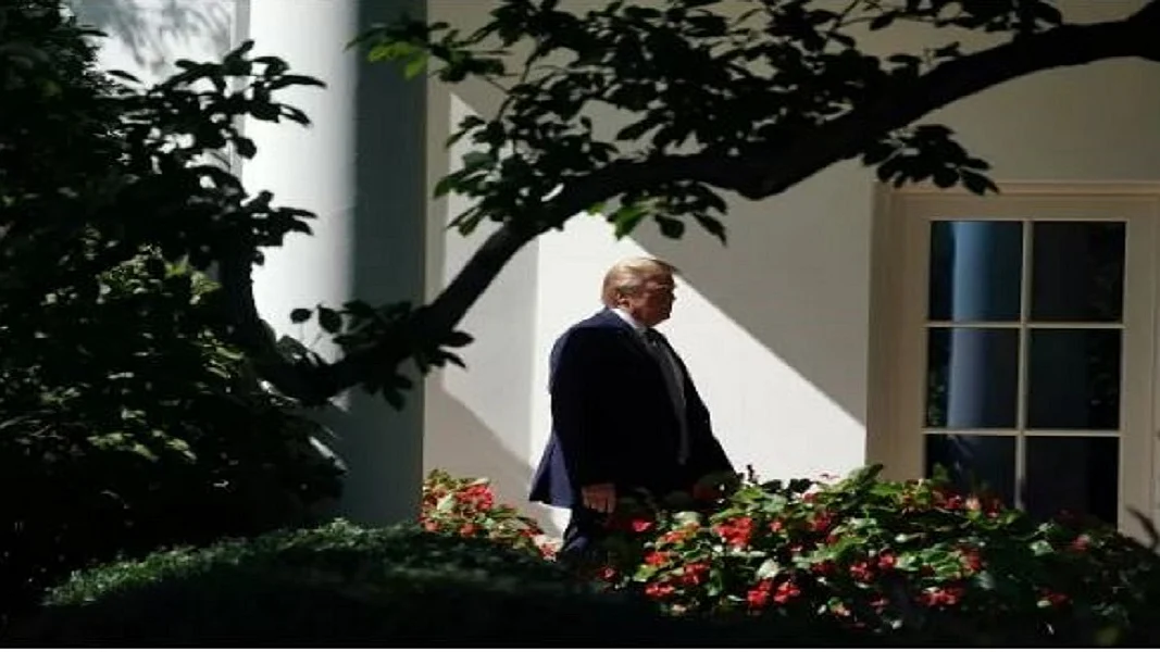 फोटोः सोशल मीडिया