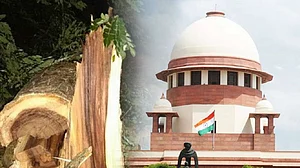 महाराष्ट्र सरकार को सुप्रीम कोर्ट से बड़ा झटका, अदालत ने कहा- आरे में तुरंत बंद हो पेड़ों की कटाई