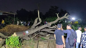 महाराष्ट्र सरकार को बड़ा झटका, सुप्रीम कोर्ट ने आरे कॉलोनी में पेड़ों की कटाई पर लगाई रोक, कटाई तुरंत बंद करने के आदेश