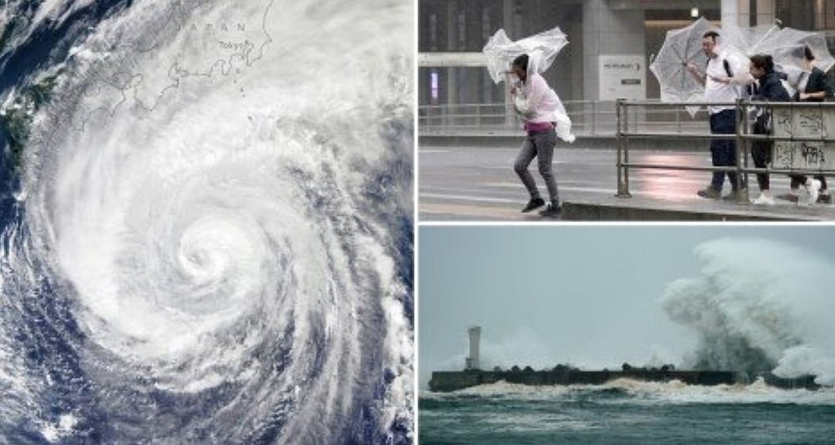 फोटो: सोशल मीडिया