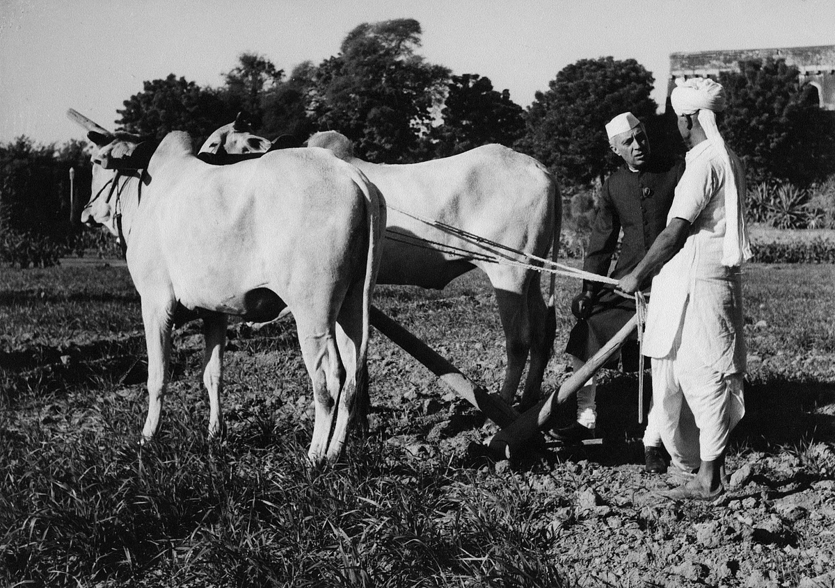 ‘नेहरू को कोसने वाले कागजी शेरों को कौन बताए कि भारत का तेज विकास उनके कारण ही संभव हो सका’ 