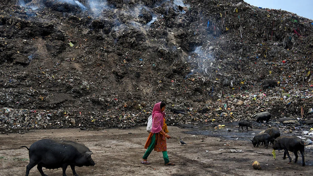 प्रतीकात्मक फोटो (Getty Images)