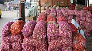 मध्य प्रदेश: प्याज की जमाखोरी रोकने के लिए सरकार का बड़ा कदम, इतने कुंटल से अधिक प्याज नहीं रख सकेंगे व्यापारी