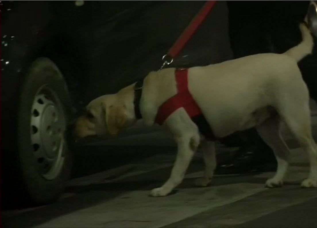 नवजीवन बुलेटिन: दिल्ली IGI पर मिला संदिग्ध बैग, RDX होने का अंदेशा और करतारपुर श्रद्धालुओं के लिए इमरान का बड़ा ऐलान