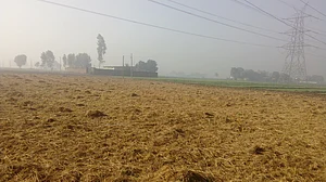 पंजाब में पराली जलाने पर पाबंदी, किसानों को मिल रहा मुआवजा, हवा की गुणवत्ता सुधरी