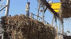 अर्थ जगत की 5 बड़ी खबरें: पिछले साल से 53 फीसदी घटा चीनी का उत्पादन, भारत में इस वर्ष स्पैम कॉल में 15 फीसदी की वृद्धि