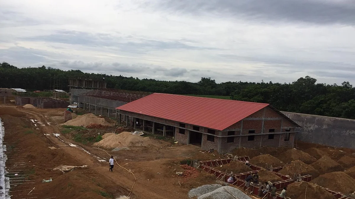 फोटो: ऐशलिन मैथ्यू