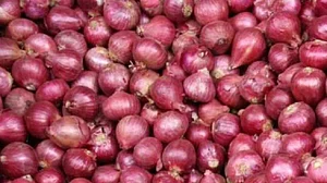 प्याज के दाम पर हंगामे के बाद जागी मोदी सरकार, अब तुर्की से मंगाएगी 11 हजार टन प्याज, थोड़ा और कीजिए इंतजार