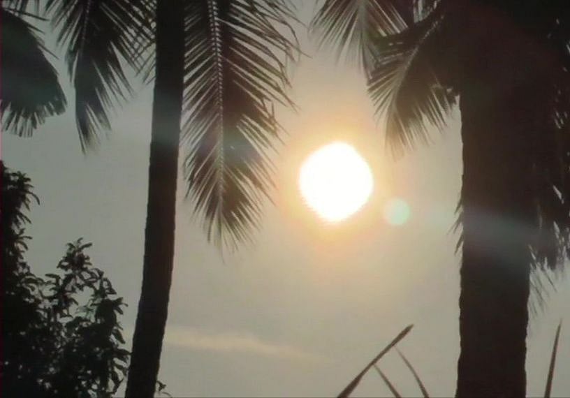 फोटो: सोशल मीडिया