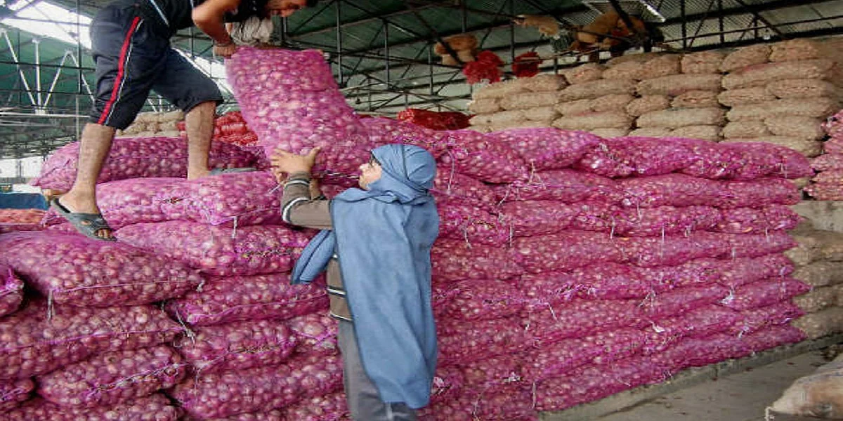 प्याज की आसमान छूती कीमतों से अभी कोई राहत नहीं, मोदी सरकार ने आयात भी किया तो सिर्फ तीन दिन का स्टॉक