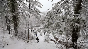 पाकिस्तान में बर्फबारी ने 50 साल का रिकॉर्ड तोड़ा, अब तक 57 लोगों की मौत