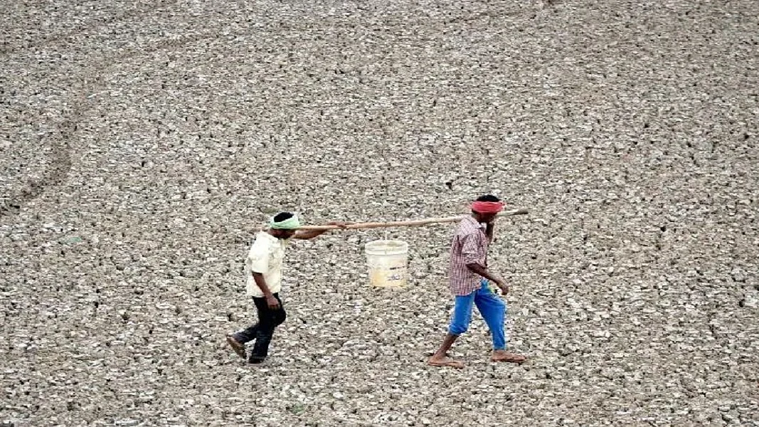 फोटोः सोशल मीडिया