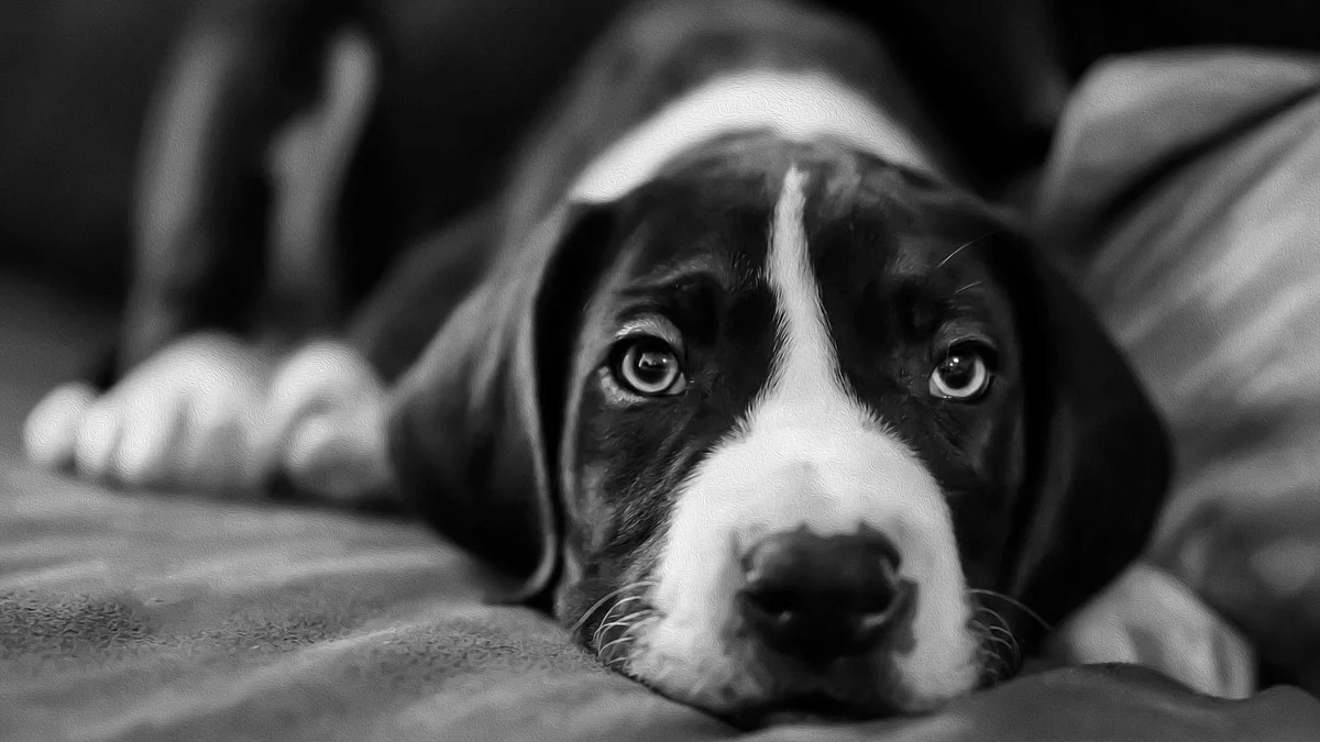 फोटोः सोशल मीडिया