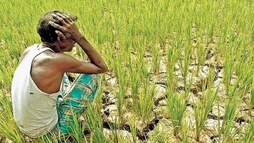 फोटोः सोशल मीडिया