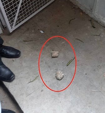 लखनऊ कोर्ट में बम हमले से हड़कंप, कई वकील घायल, प्रियंका बोलीं- योगी राज में कोर्ट में भी कोई सुरक्षित नहीं