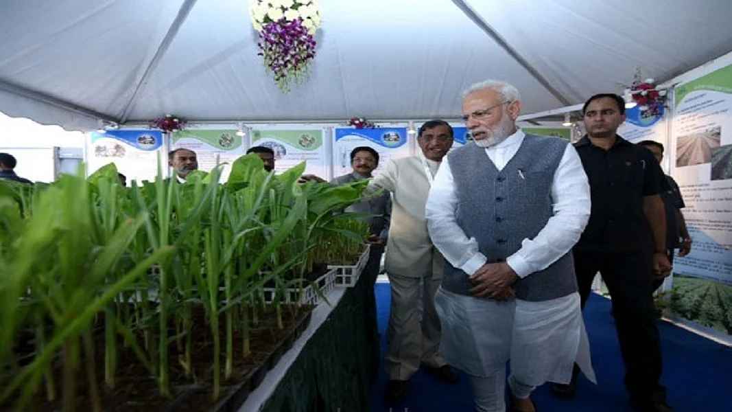 फोटोः सोशल मीडिया