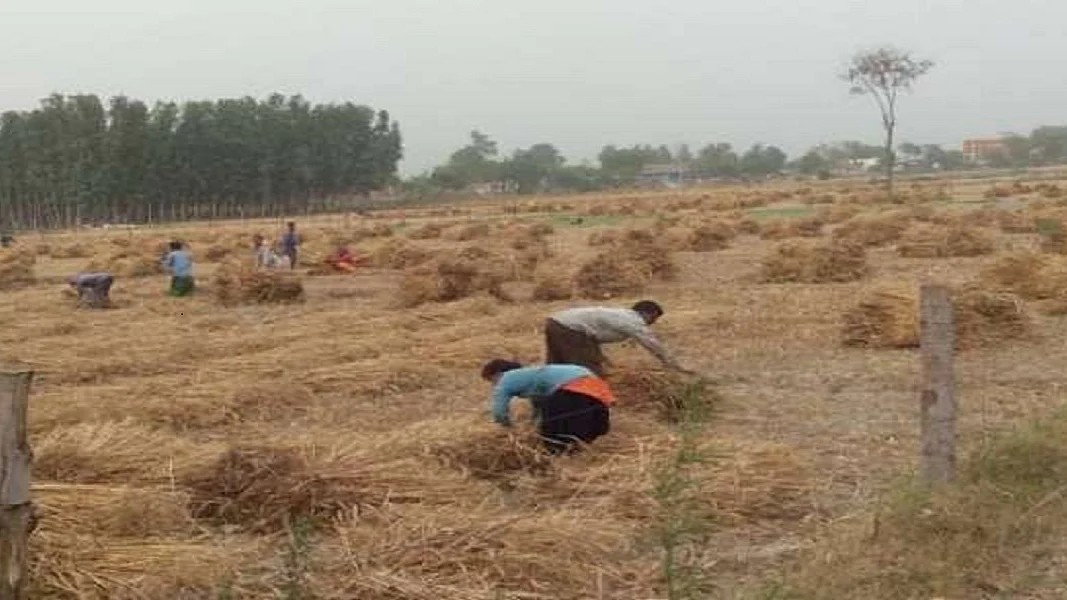 फोटोः सोशल मीडिया