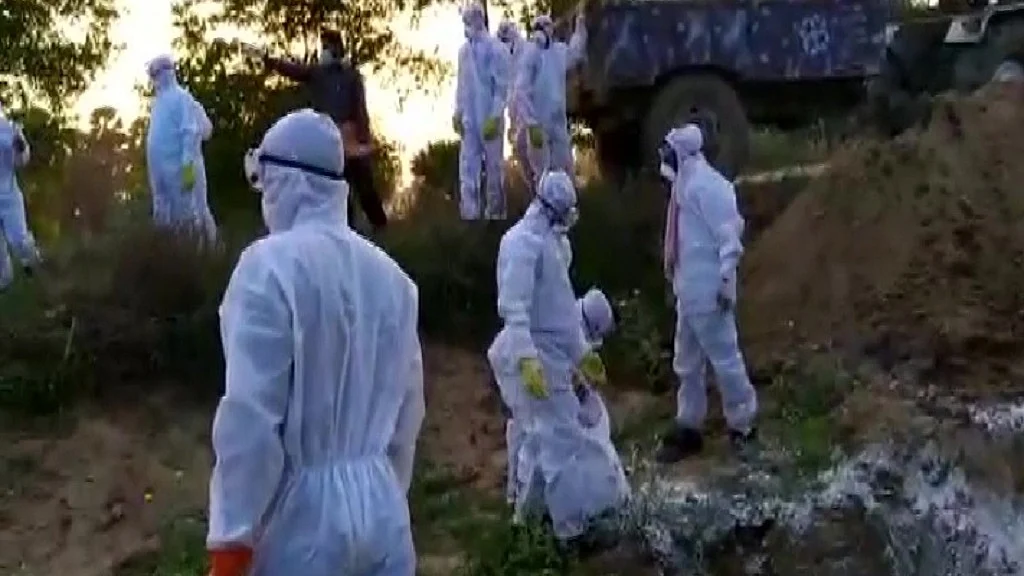 फोटो: सोशल मीडिया