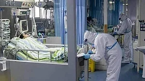 फोटो: सोशल मीडिया