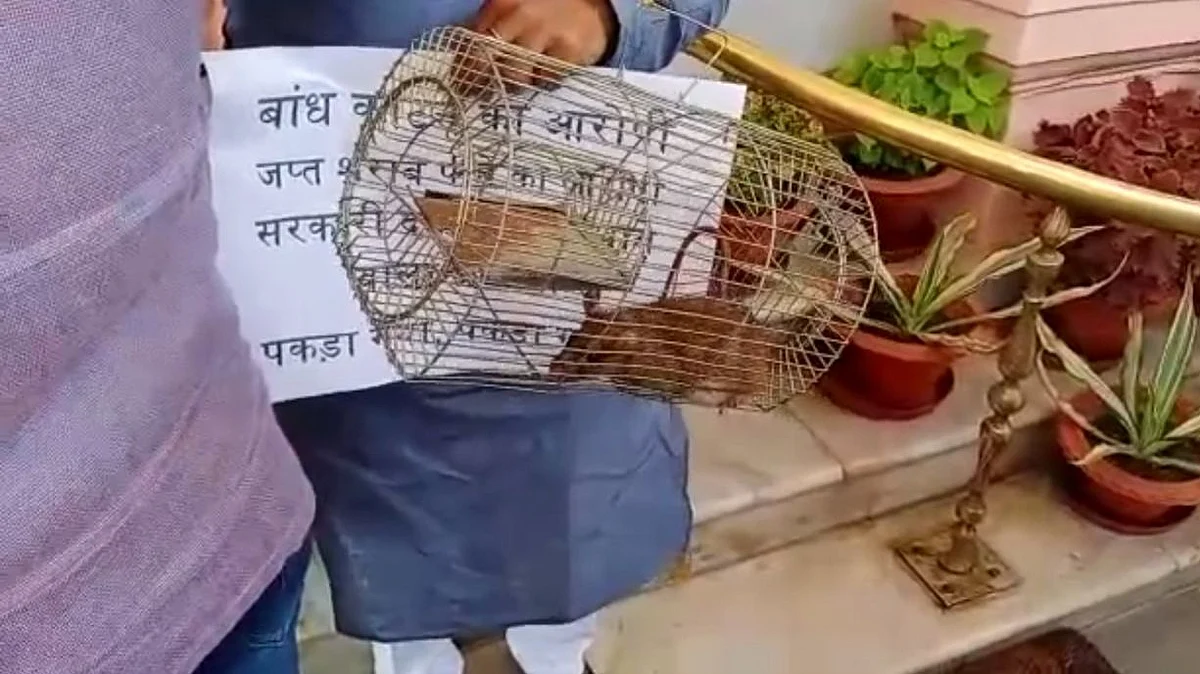 फोटो: सोशल मीडिया