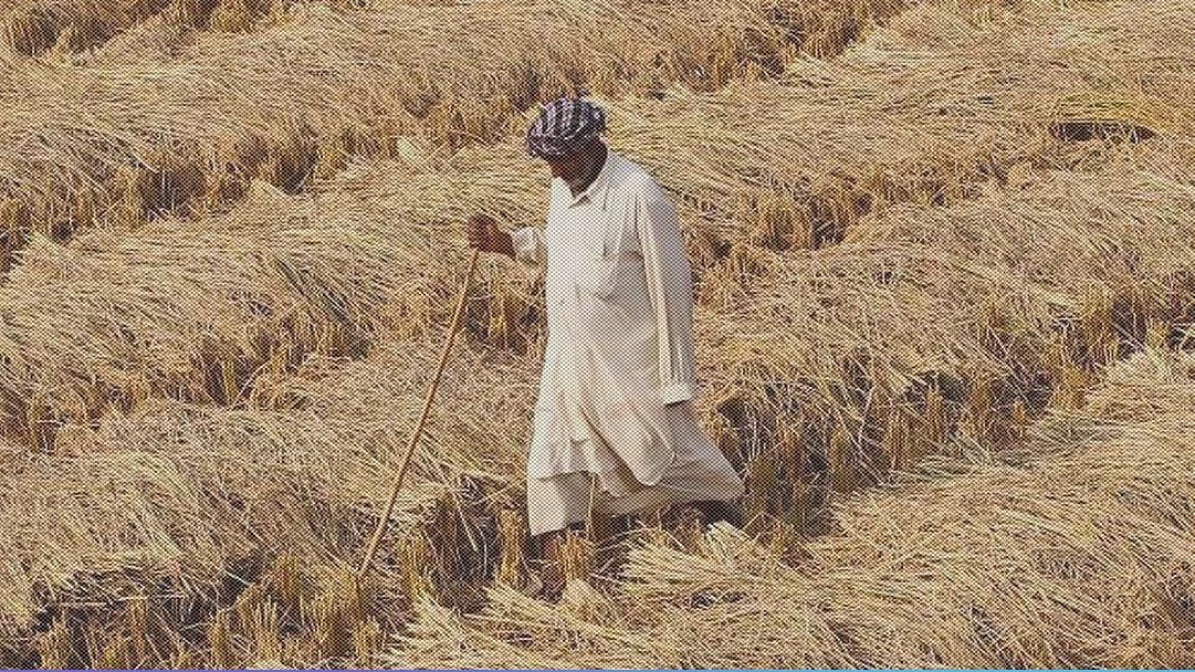 फोटोः सोशल मीडिया