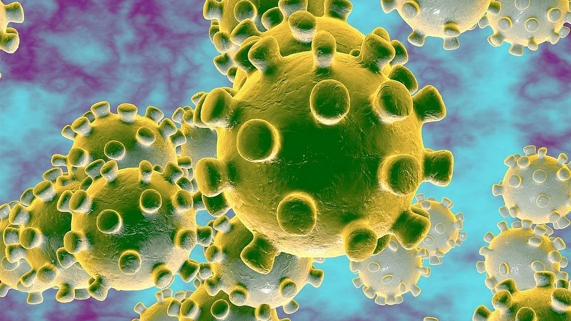 फोटो : आईएएनएस