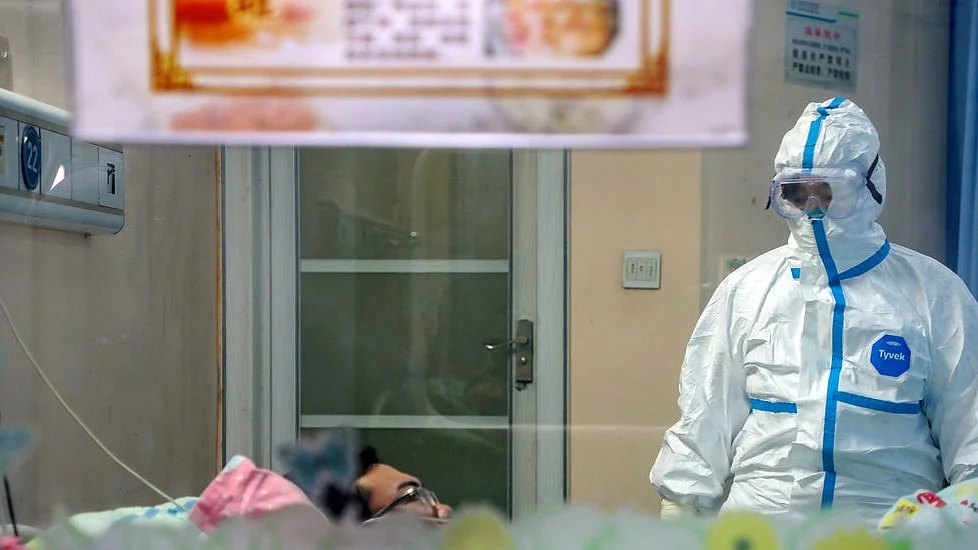 फोटो: सोशल मीडिया