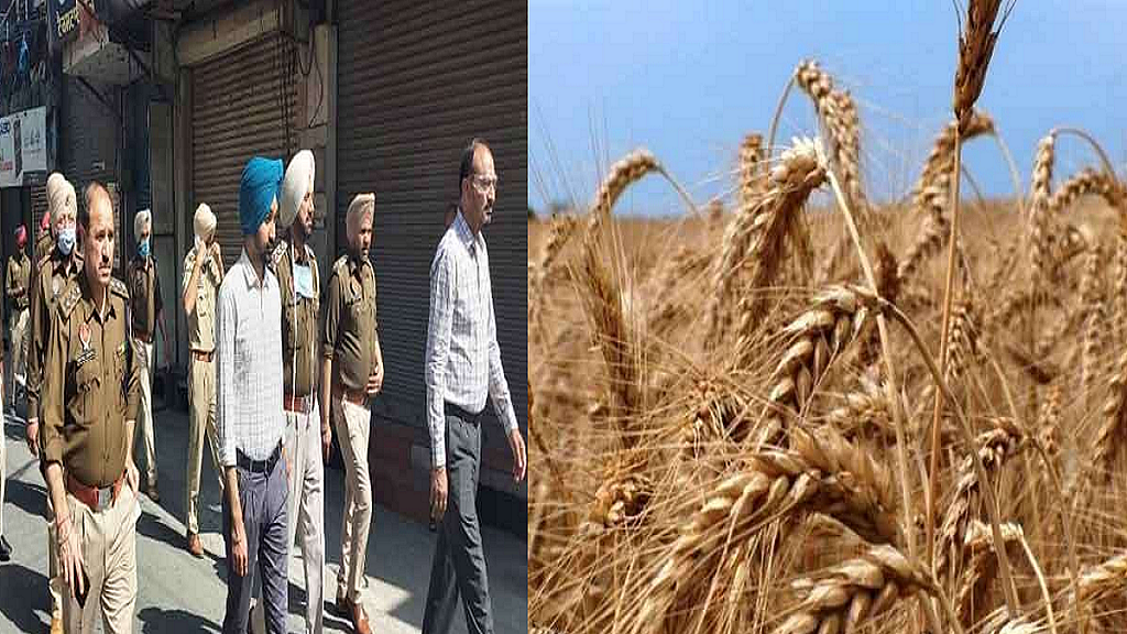 फोटो: सोशल मीडिया