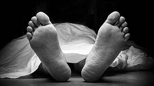 फोटो: सोशल मीडिया