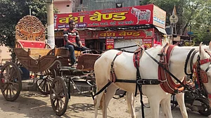 कोरोना के कोहराम में शादियां थमी, राजधानी दिल्ली में करोड़ों रुपये का ‘घोड़ी-बघ्घी’ कारोबार चौपट