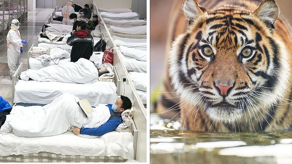 फोटो: सोशल मीडिया