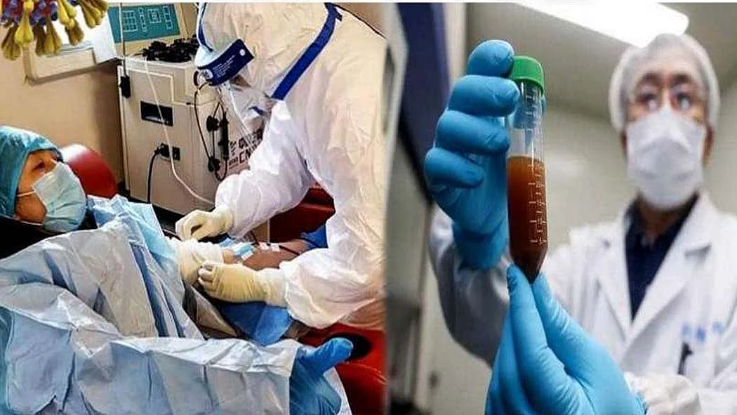 फोटो: सोशल मीडिया&nbsp;