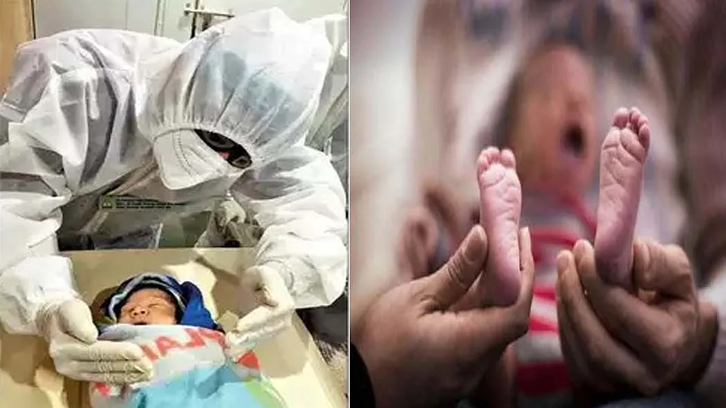 फोटो: सोशल मीडिया