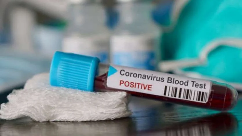 फोटो: सोशल मीडिया