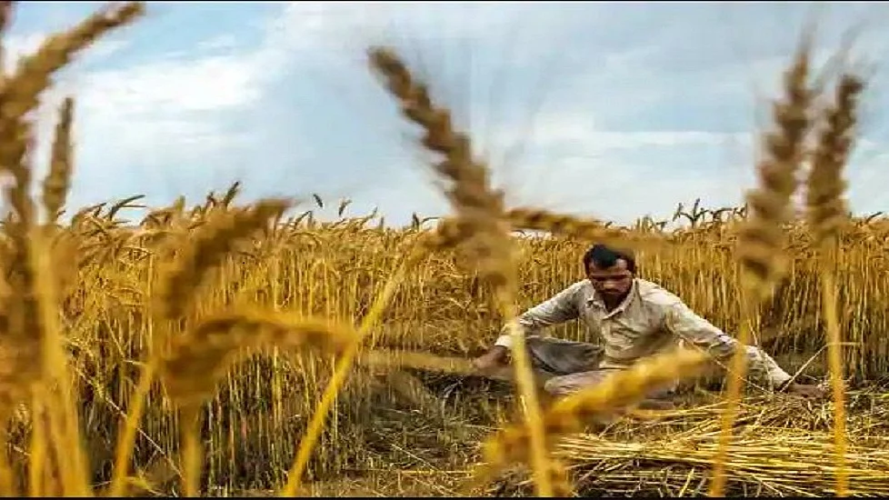 फोटोः सोशल मीडिया