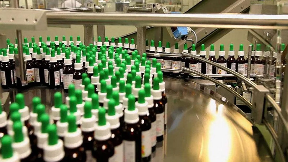 फोटो : सोशल मीडिया