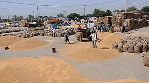 पंजाब में के 12 जिलों में गेहूूं की खरीद शुरु, किसानों को दिए जा रहे मंडी तक पहुंचने के विशेष पास