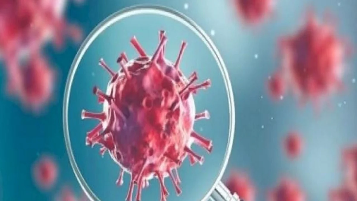 फोटो: सोशल मीडिया