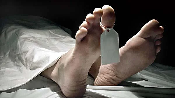 फोटो: सोशल मीडिया