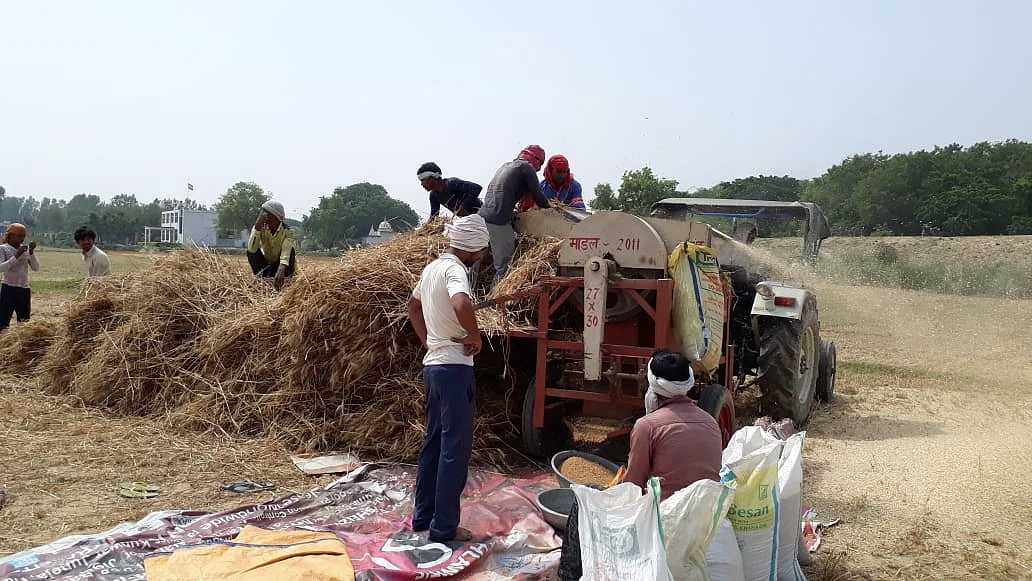 फोटोः पूर्णिमा श्रीवास्तव